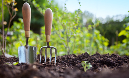 Link Property Maintenance