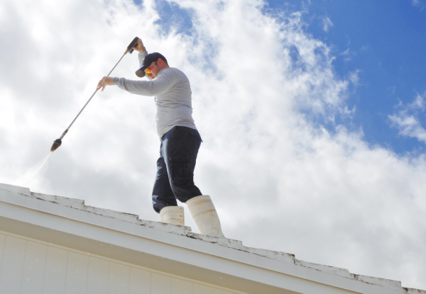 YourLocal House Wash Roof & Pest - Pukekohe