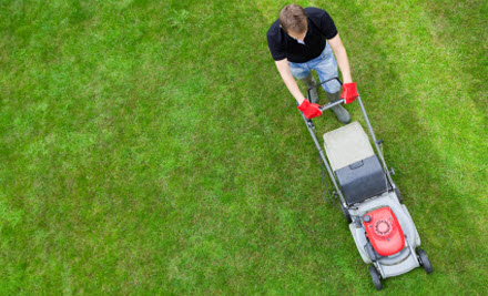 All Done Property Maintenance