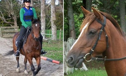 Hunter's Ridge Riding Centre