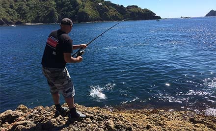 Baddest Bait & Tackle