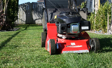 Master Mow