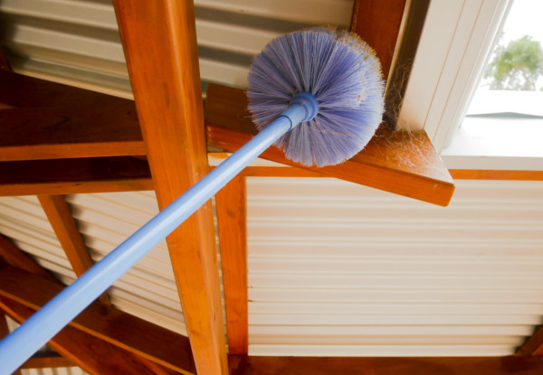 Interior or Exterior Spider Treatment - Option for a Three or Four Bedroom House