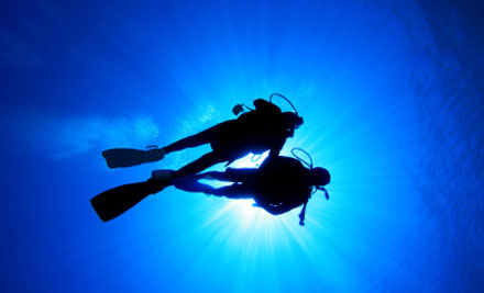 Dive on In
