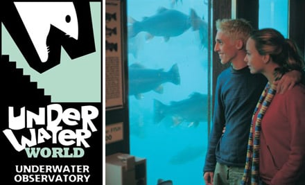 Queenstown Underwater Observatory