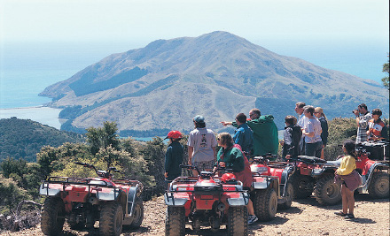 Quad Bike Farm Forest Ride