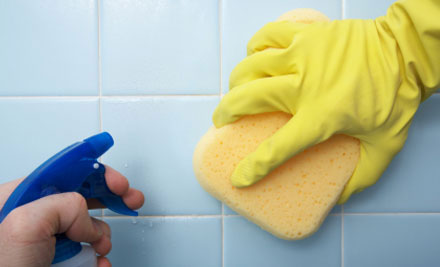 Clean Up Services