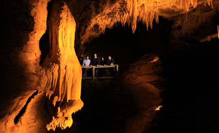 Footwhistle Glow Worm Tour