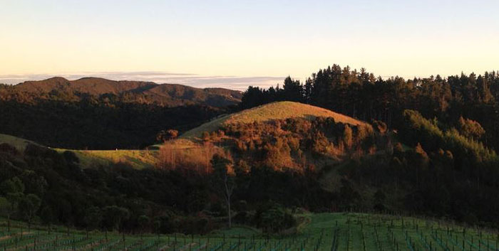 Paroa Bay Chalets - Russell