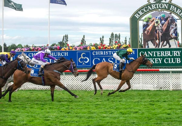 New Zealand Cup and Show Week