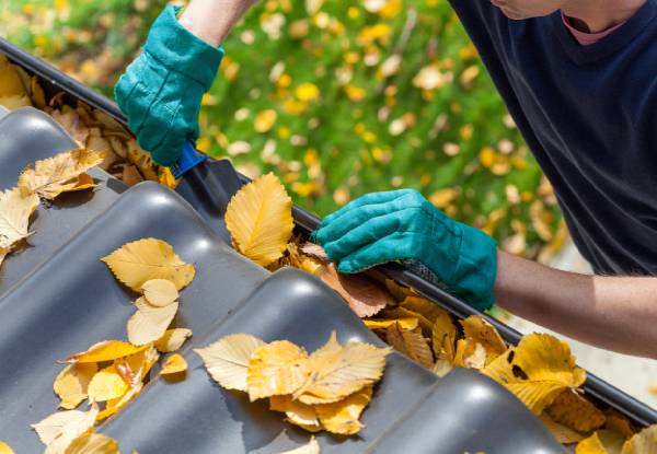 YourLocal House Wash Roof & Pest - South Auckland