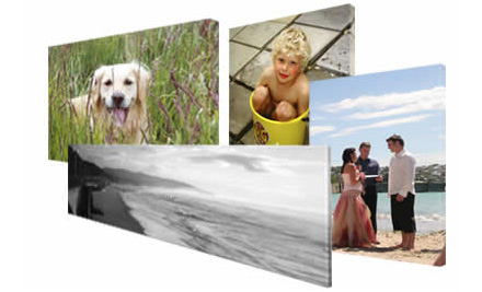 The Photo Gallery