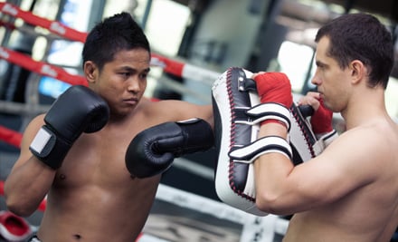 Fit Kiwi Personal Trainers