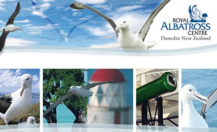 Royal Albatross Centre