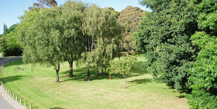 Christchurch Accommodation