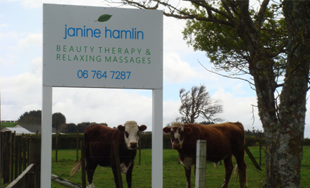 Janine Hamlin Beauty Therapy