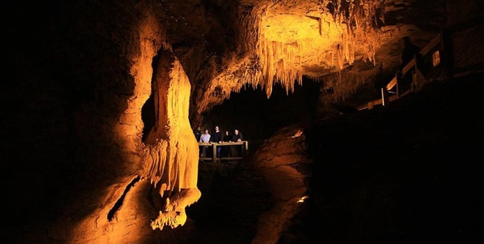 Waitomo Caves Hotel with CaveWorld