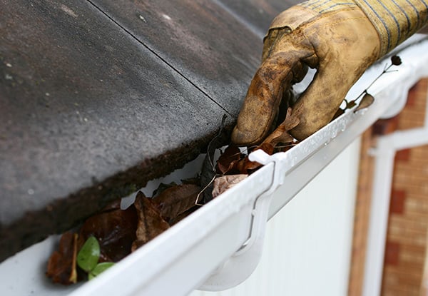 Gutter Clean for a Three-Bedroom Home incl. Roof inspection - Options for up to a Five Bedroom Home