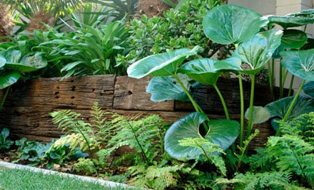Stewart Stevenson Landscaping