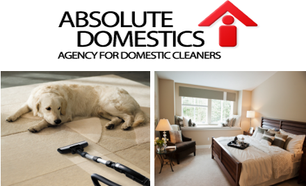 Absolute Domestics