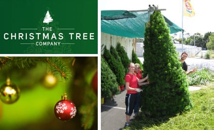 The Christmas Tree Company