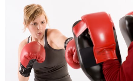 Tauranga Box Health & Fitness