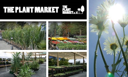 The Plant Market