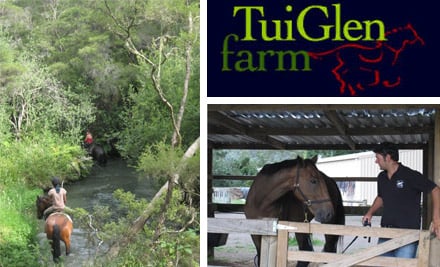 Tui Glen Farm