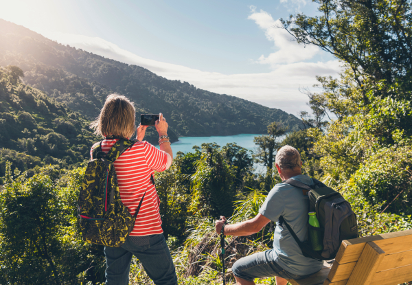 Queen Charlotte Track Day Walk with Cougar Line Cruise Transfers -
Walk Ship Cove/Meretoto to Resolution Bay - Options for Adult or Child