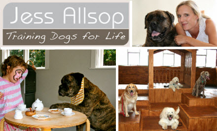 Training Dogs for Life