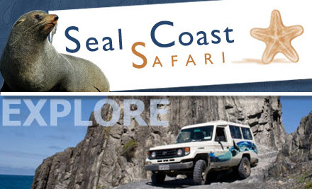 Seal Coast Safari