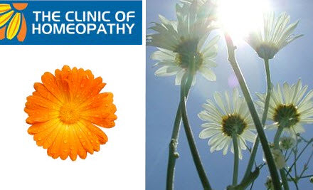 The Clinic of Homeopathy