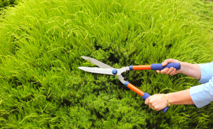 Theos Mowing