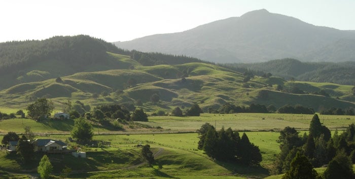 Tangowahine Farm - Northland