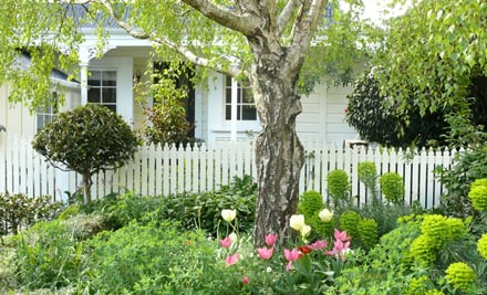 The Property Market