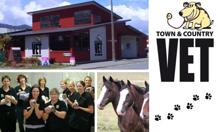 Town & Country Vet