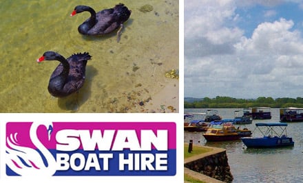 Swan Boat Hire