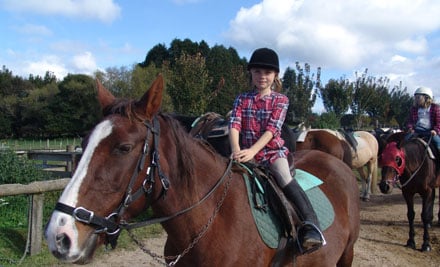 60 Minutes Horse Trekking