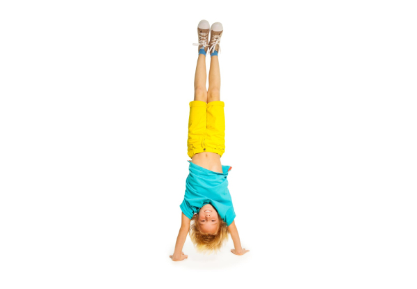 The Gymnastic Academy Ltd.