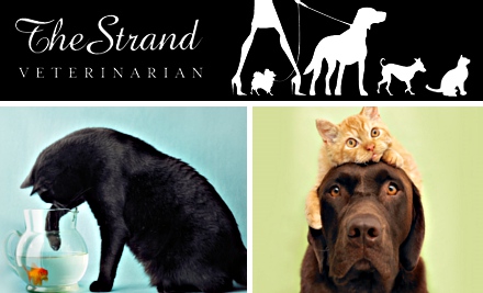 The Strand Veterinarian