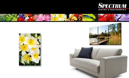 Spectrum Digital & Photographic