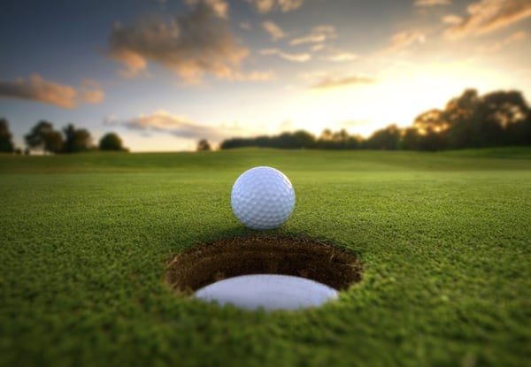 $445 for a 12-Month Full Golf Membership (value $645)