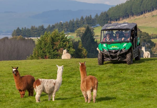 $49 for a One-Hour Back Country Adventure (value up to $89)