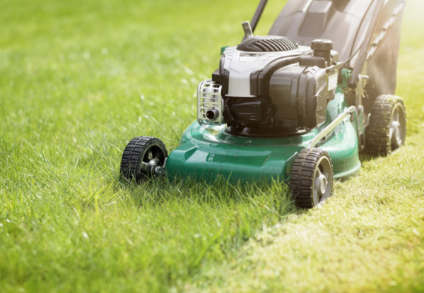 One-Hour of Lawn Mowing – Options for up to Four Hours