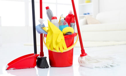 The NZ Cleaning Company