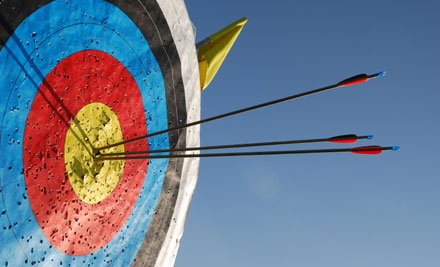 15 Shots of Archery