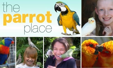 The Parrot Place