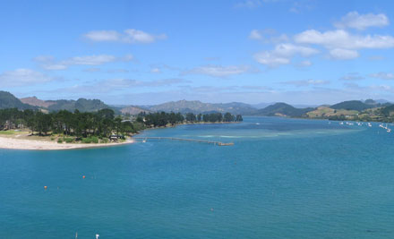 Tairua Dive and Marine