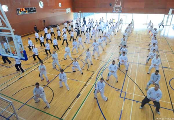 $79 for a Shao Chi Chuan Three Month Membership incl. Two Classes Per Week or $49 for One Class Per Week – Three Locations