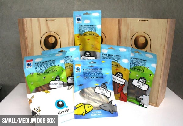 $50 for a Xmas Gift Box For Your Dog – Two Options Available